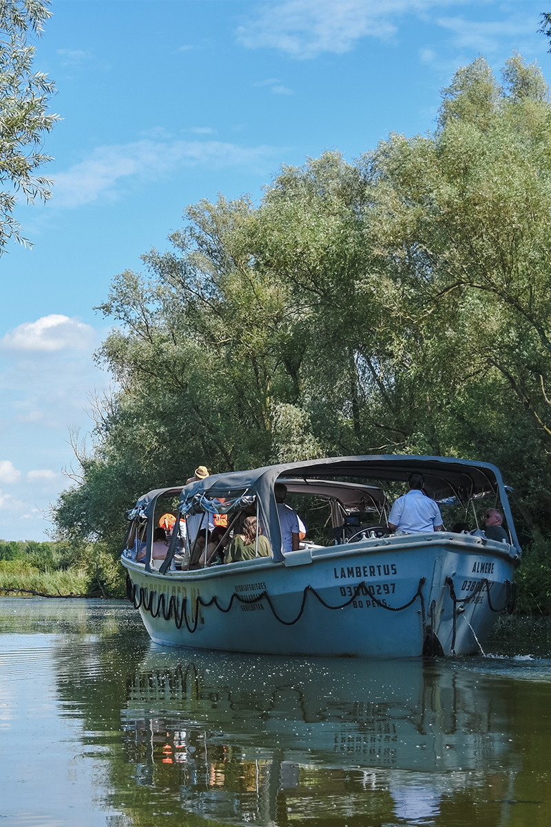 GroteSloep_Lambertus_Almere